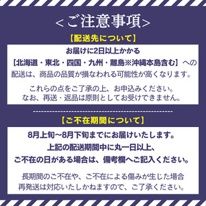 ＜地元農家直送!＞ 藤稔 5房 約3kg　【 葡萄 藤稔 】　