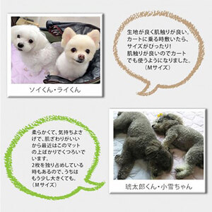 ペットマット XS 2枚組 コットン ペットマット