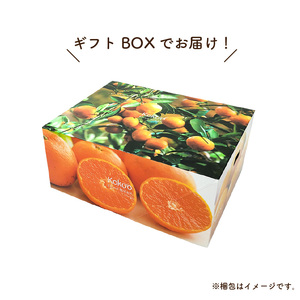 【2026年12月中旬頃から順次発送】 瀬戸内海の島みかん (秀品・ギフトBOX入)【石地みかん】約3kg | 柑橘 みかん 密柑 オレンジ フルーツ 果物 【KK3281】