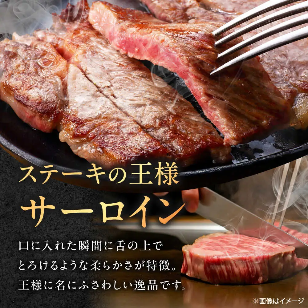 【6回定期便】佐賀牛 サーロインステーキ 500g /MKミート武雄[UEM022] ステーキ