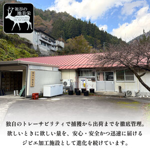 鹿肉モモブロック 500g シンタマ ジビエ 国産 祖谷 地美栄【 ジビエ 】