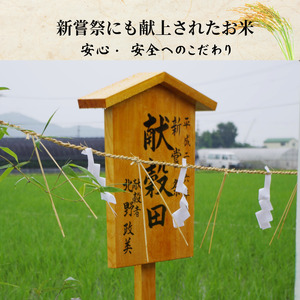 【令和7年産新米】米 コシヒカリ 10kg(5kg×2） 天皇献上米 (栽培期間中）農薬不使用米