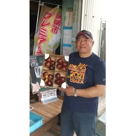 京都府城陽市のいちじく(ドーフィン) 400g×4パック 栄養が豊富な体に嬉しいフルーツ【配送不可地域：離島・北海道・沖縄県・東北】【1635816】