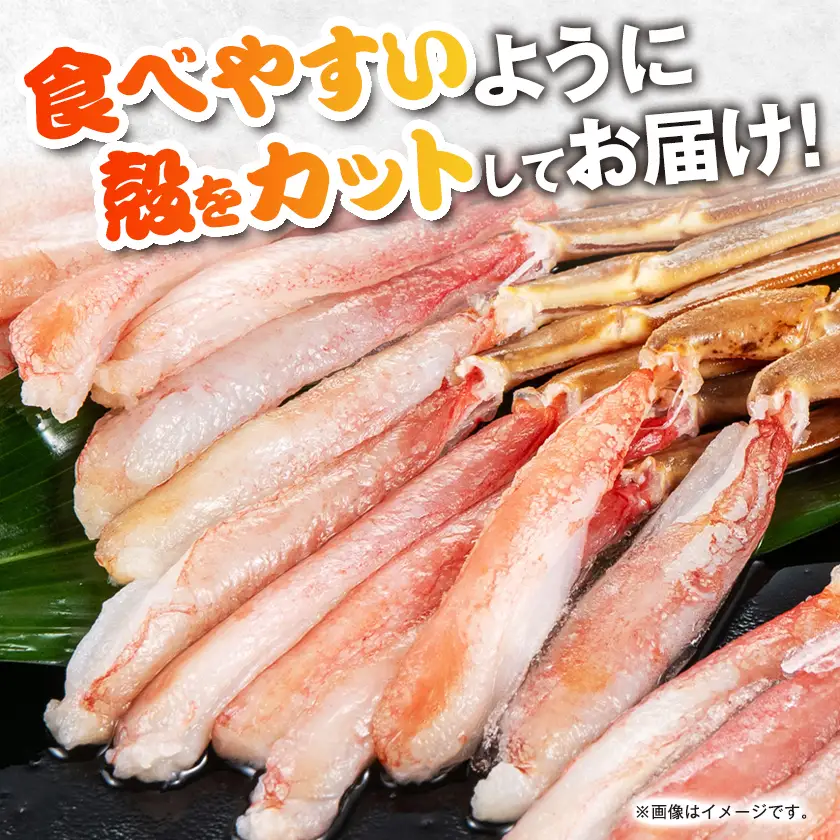 生本ズワイガニ脚肉むき身500g【配送不可地域：離島】【1607604】
