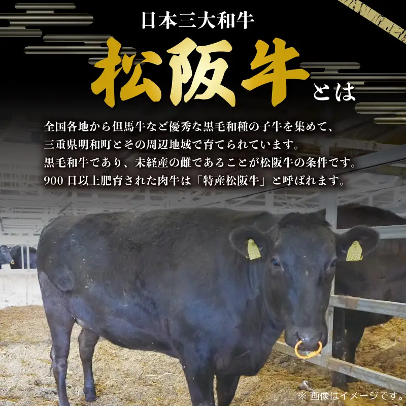 松阪牛 小間切れ 500g 大容量 松阪牛 牛肉 SS120