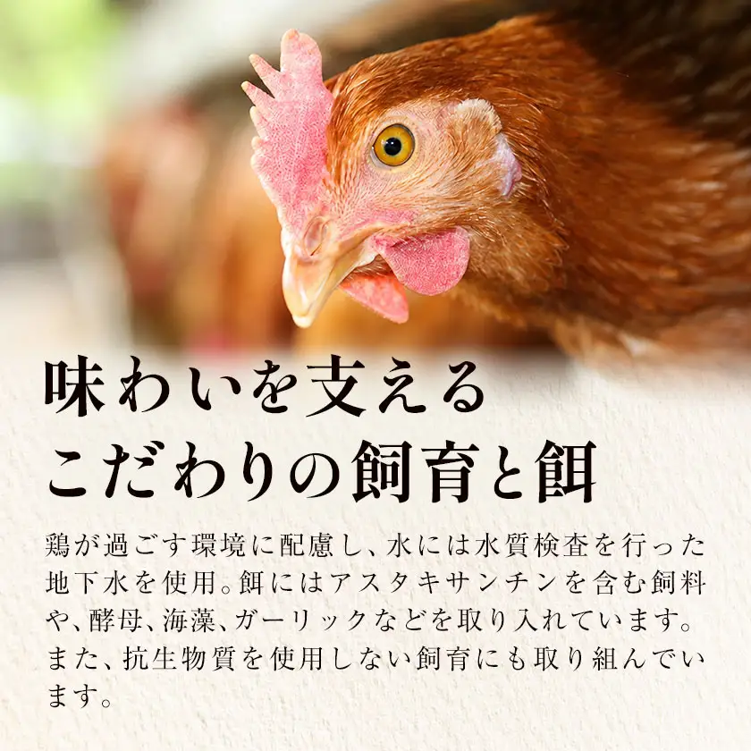 【5ヶ月定期便】たまご 黄味じまん Lサイズ 30個 計150個 君嶋養鶏園