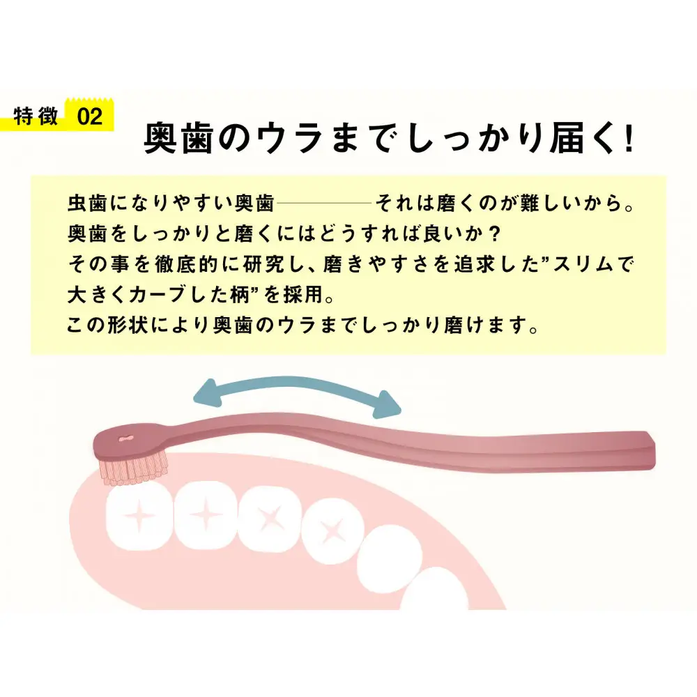 奥歯のウラまでしっかり磨ける 穴の開いた 歯ブラシ 合計12本 （1箱4本入(4色)×3箱 ）