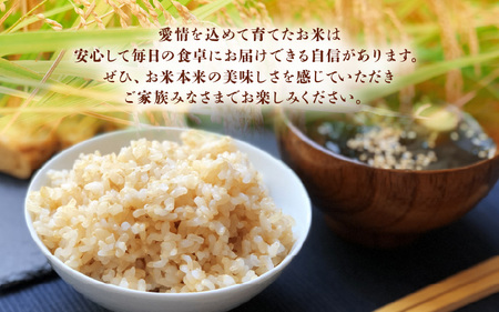 【先行予約】米 令和8年産 ミルキークイーン 20kg（玄米）【2026年9月中旬以降順次発送予定】【大容量 ブランド 玄米】 [m76-d004]