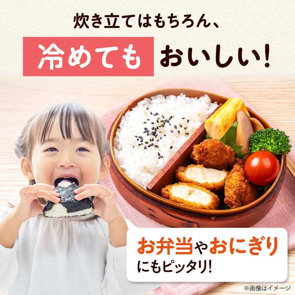 お米 令和7年産 キヌヒカリ 10キロ [AOEJ010] お米