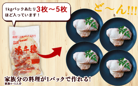 ＜愛媛県産 銘柄鶏 浜千鶏（はまちどり）若鶏もも肉 3kg（1kg×3）6ヶ月定期便＞ 国産 鶏肉 鳥肉 とり チキン モモ肉 はまちどり ブロック 精肉 にく 料理 アレンジ 夕飯 夕食 お弁当 昼食 唐揚げから揚げ 焼き鳥 マルハフーズ株式会社 愛媛県 西予市【冷凍】『1か月以内に順次出荷』OMF0009