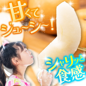 【2027年8月先行予約】豊水 約5kg |【栃木県共通返礼品】豊水 梨 なし ナシ 新品種 先行予約 大粒 新鮮 甘い 美味しい 果物 くだもの フルーツ ふるーつ 共通返礼品 フルーツ デザート 栃木県 那珂川町