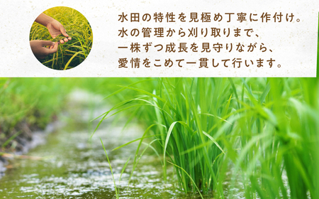 《令和8年産 新米》 こしひかり 5kg お米 11月発送