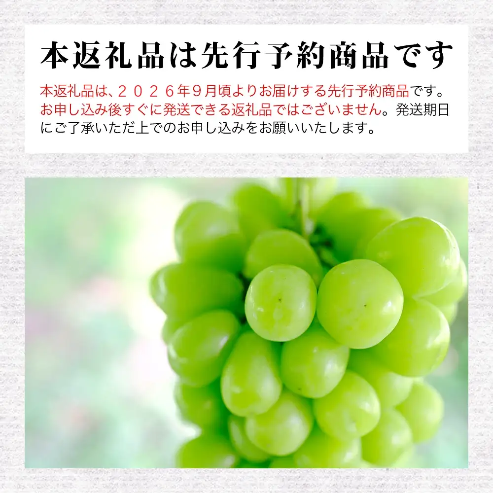 【先行予約】磐梯町産 シャインマスカット 約1.5kg（2房～3房）　※2026年9月～10月発送予定