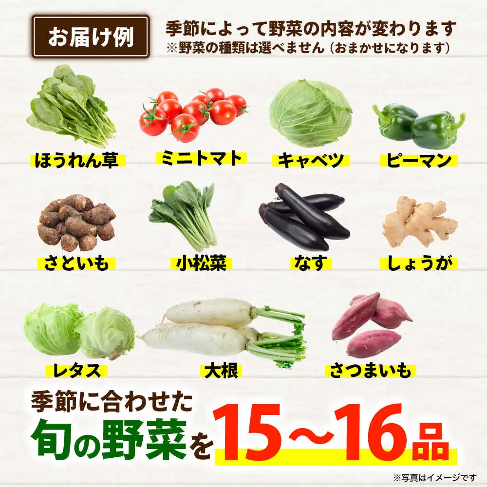 合志の旬のお野菜セット 15品から16品  野菜[AYAB112]