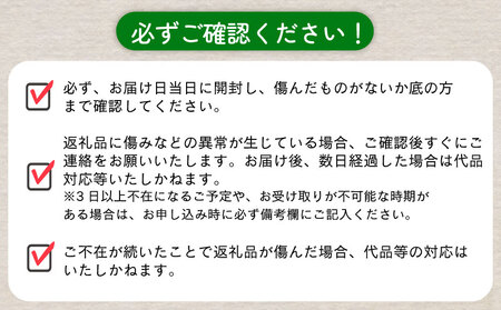 【先行予約】 とうもろこし 10本 とうもろこし