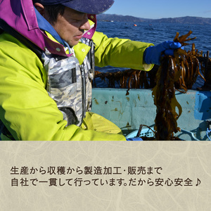 わかめ 100g 湯通し塩蔵わかめ