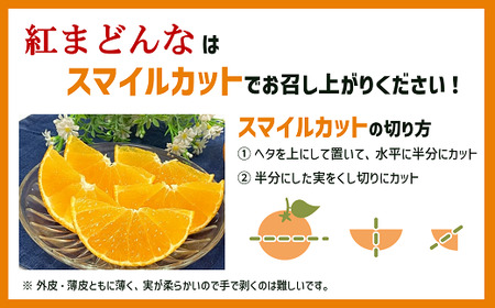 【2026年先行予約】紅まどんな Lサイズ 6個 愛媛みかん 愛果28号 化粧箱入り 紅マドンナ まどんな マドンナ みかん ミカン 蜜柑 果物 くだもの フルーツ 柑橘 かんきつ 柑橘類 愛媛果試第28号 あいか ギフト 贈り物 贈答用 おすすめ 人気 お取り寄せ 国産 愛媛 伊予市【数量限定】【2026年11月中旬順次発送】｜B450