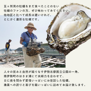 三重県産 伊勢かき(殻付き) 22個 | 殻付き牡蠣