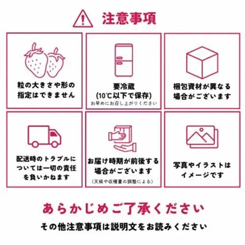 【先行予約】福岡県産あまおう 約250g×4パック《2027年2月以降順次発送》【配送不可地域：離島】【1177858】