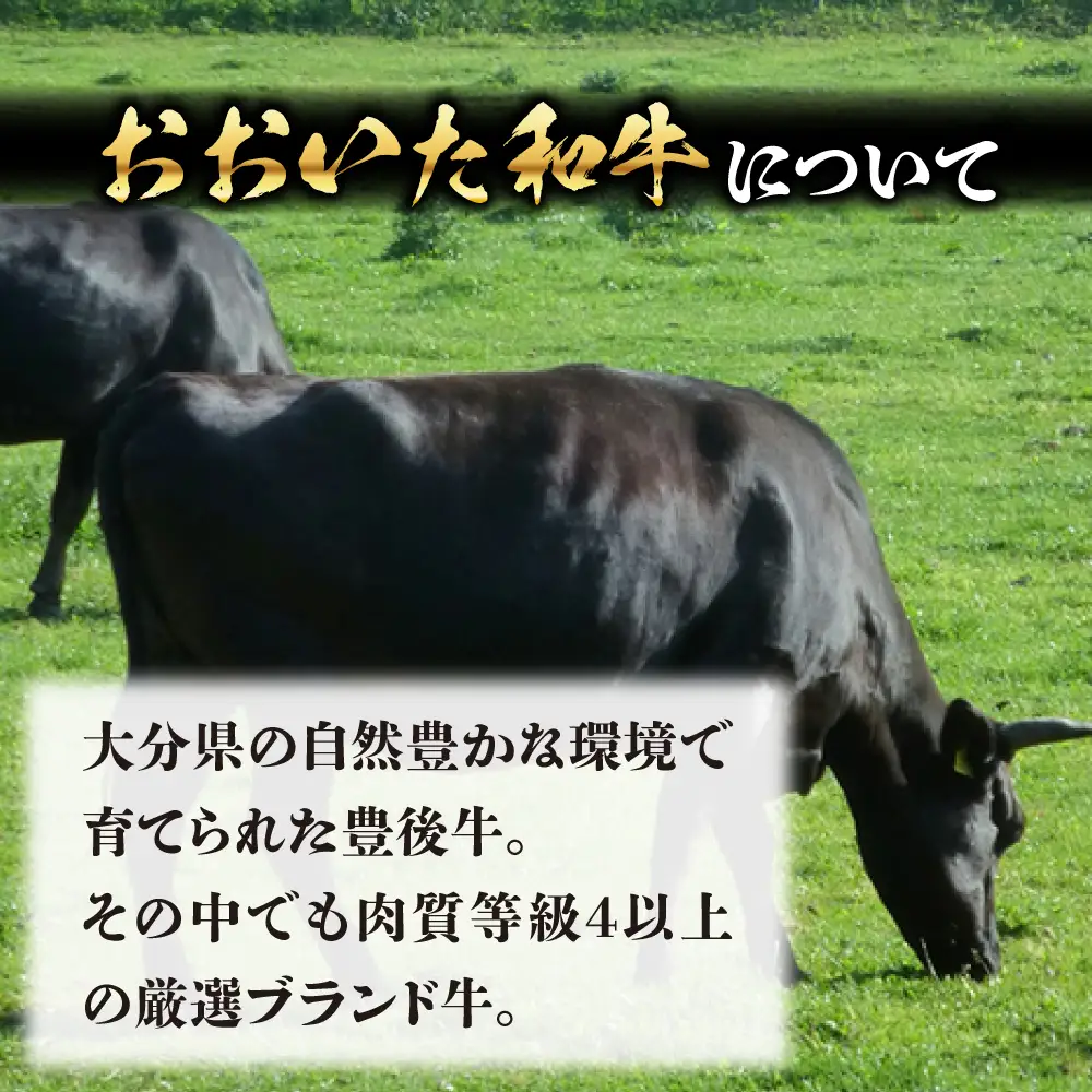 ヒレ 150g×3 おおいた和牛 ARFE001 ヒレステーキ