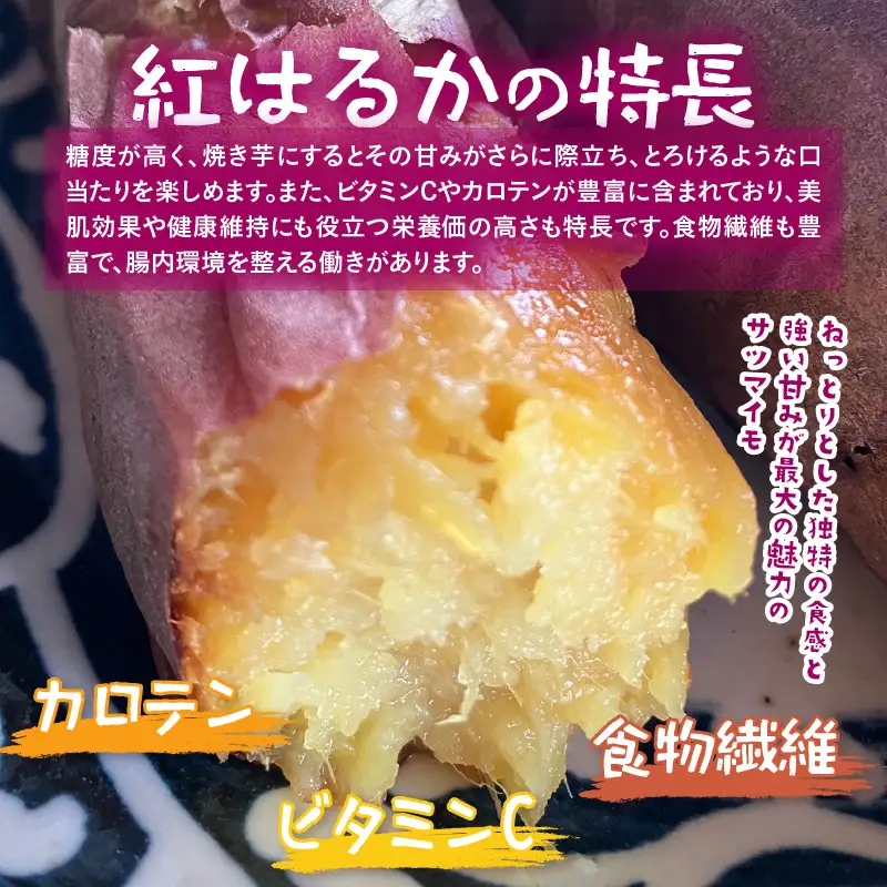 【先行予約】福井県あわら市産 藤重農園自慢の濃厚な甘みのサツマイモ 紅はるか 5kg / さつまいも 紅はるか べにはるか さつま芋 国産 土付き 芋 産地直送 熟成 サツマイモ ※2026年11月中旬以降順次発送 [aw083-a002]