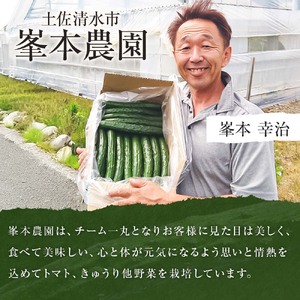 きゅうり 2kg 【R01451】