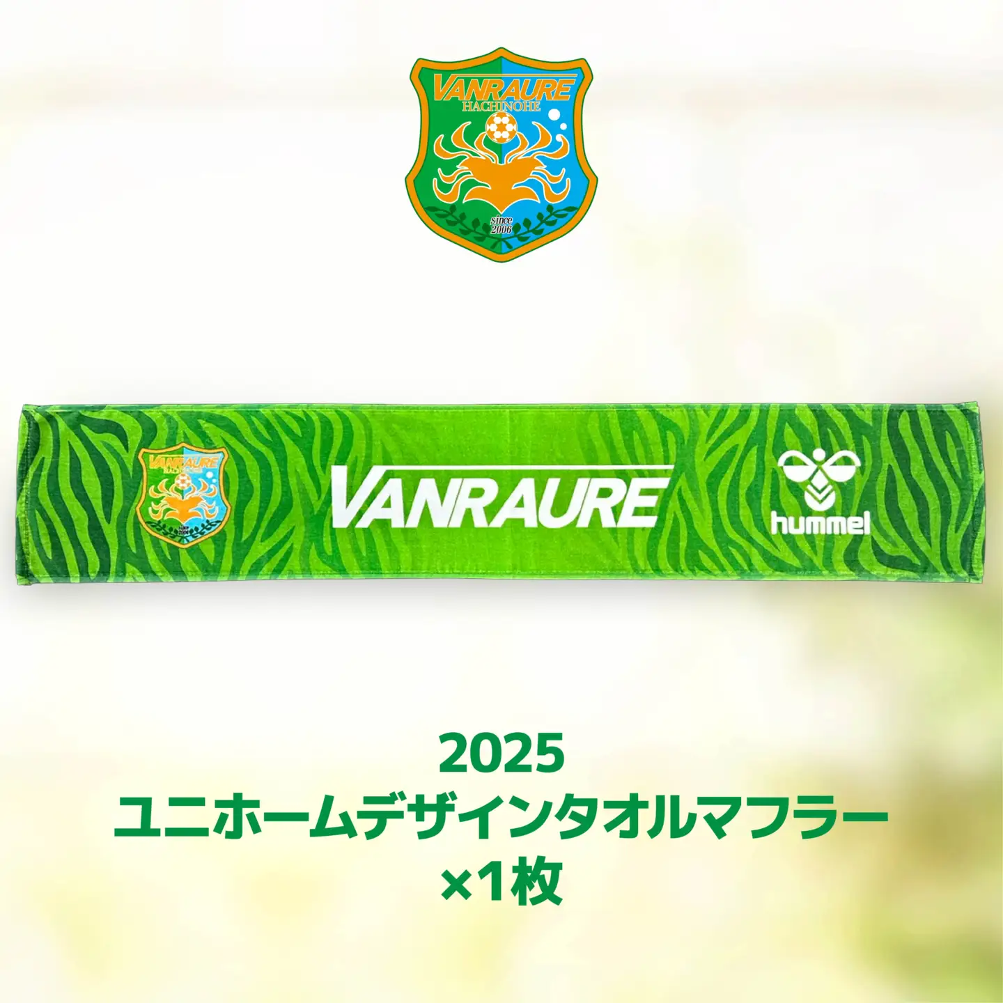 VANRAURE【Mサイズ】ヴァンラーレ八戸 応援グッズ 3点セット 青森県 八戸市