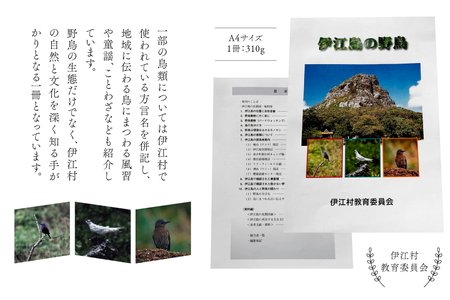 図鑑 伊江島の野鳥 1冊