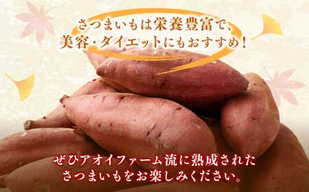 “熟成” 茨城県産 さつまいも 【 シルクスイート 】 約10kg （茨城県共通返礼品・行方市産） 芋 いも サツマイモ 野菜 やさい 国産
