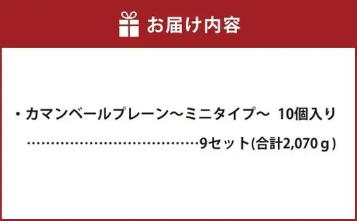 カマンベールプレーン ～ミニタイプ～ 10個入り×9セット 合計90個 カマンベール カマンベールチーズ チーズ 手造り 個包装 花畑牧場 北海道 中札内村 冷蔵 [002-0080]