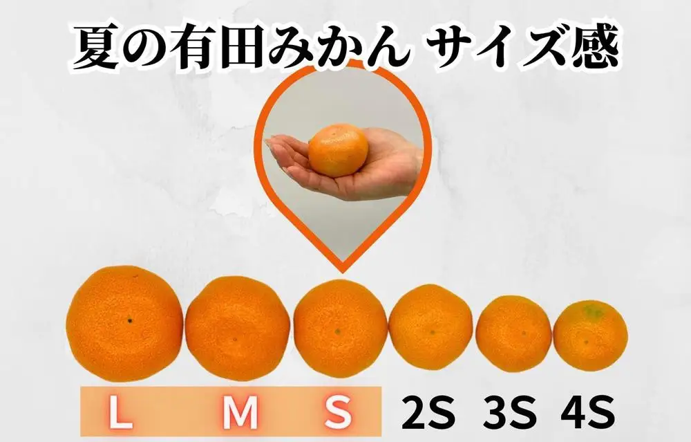 【お中元】ハウスみかん 温室栽培 夏の有田みかん 約2kg 秀品 S・M・Lサイズのいずれか  和歌山県 産地直送 みかんの会 【7月上旬～8月上旬に順次発送】