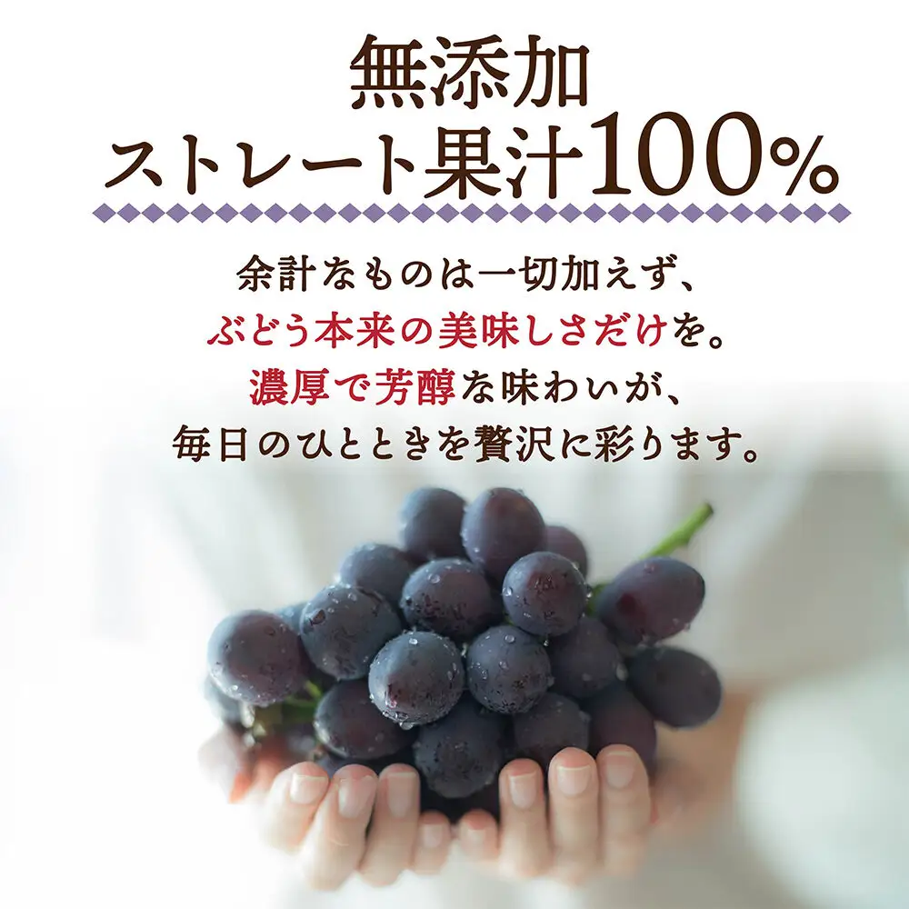 ぶどうジュース 紙パック 1L×4本入り 化粧箱入り 無添加 ストレート果汁100％ スチューベンジュース 青森県産 弘前市 青い森の、大地の恵み。 ドットコムプライム