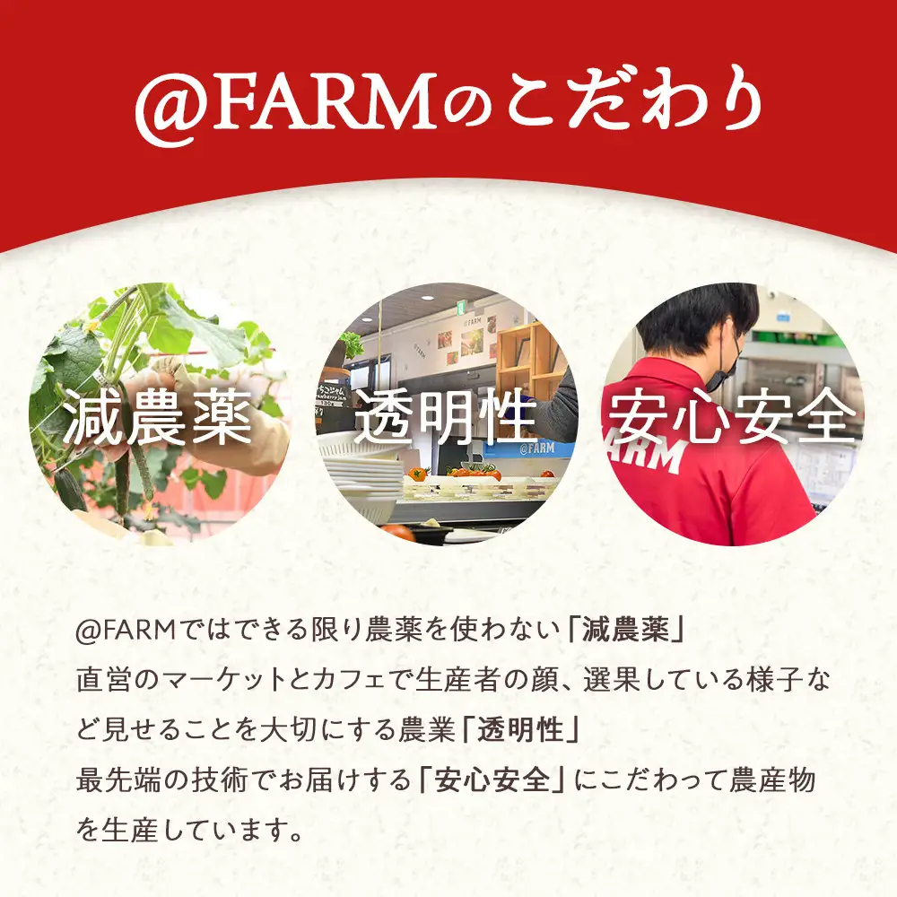 ＠FARM　いちごのパウンドケーキ3個セット