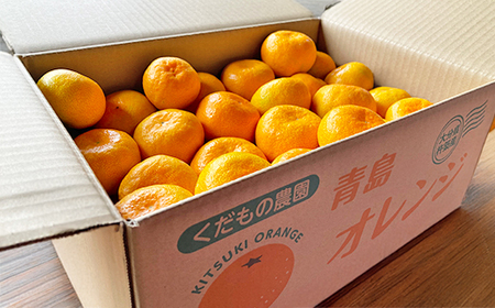 高糖系 温州みかん 青島 秀品 約5kg【木戸農園】 1月 2月 果物 フルーツ 数量限定 期間限定 九州 大分県 ＜113-019＞