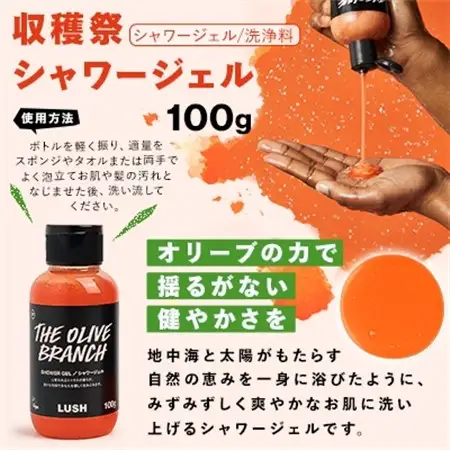 LUSH ラッシュ オール ザ ベスト ギフト　ボディケア 4個セット_ボディケア セット プレゼント_【配送不可地域：離島】【1283404】