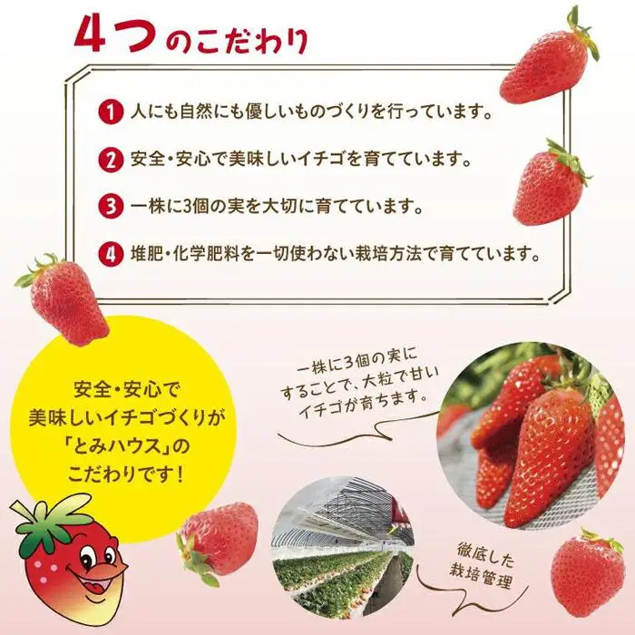 あきひめDX 500g 鳥取いちご【とみハウス】