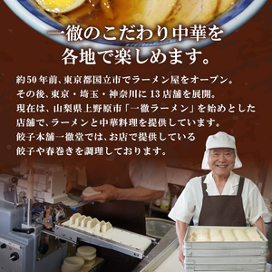 【6ヶ月定期便】一徹堂・冷凍生餃子(60個)＆生春巻き(10本)セット
