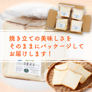 12回 定期便 食パン 海洋深層水食パン 4斤 [ロマンド 高知県 rm008]