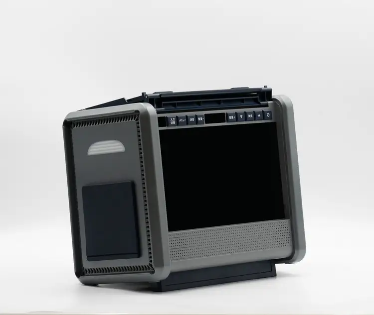 ポータブル 電源 バッテリー 【防水防塵】（10インチ テレビ ラジオ 搭載）60000mAh パワーステイションTV PSTV-600 アウトドア キャンプ カー用品  ※離島への配送不可｜アウトドア