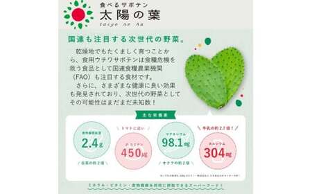 【ふるなびWEEK対象】【期間限定】食べるサボテン 太陽の葉 フレッシュリーフ(新芽限定・お試し500g)
