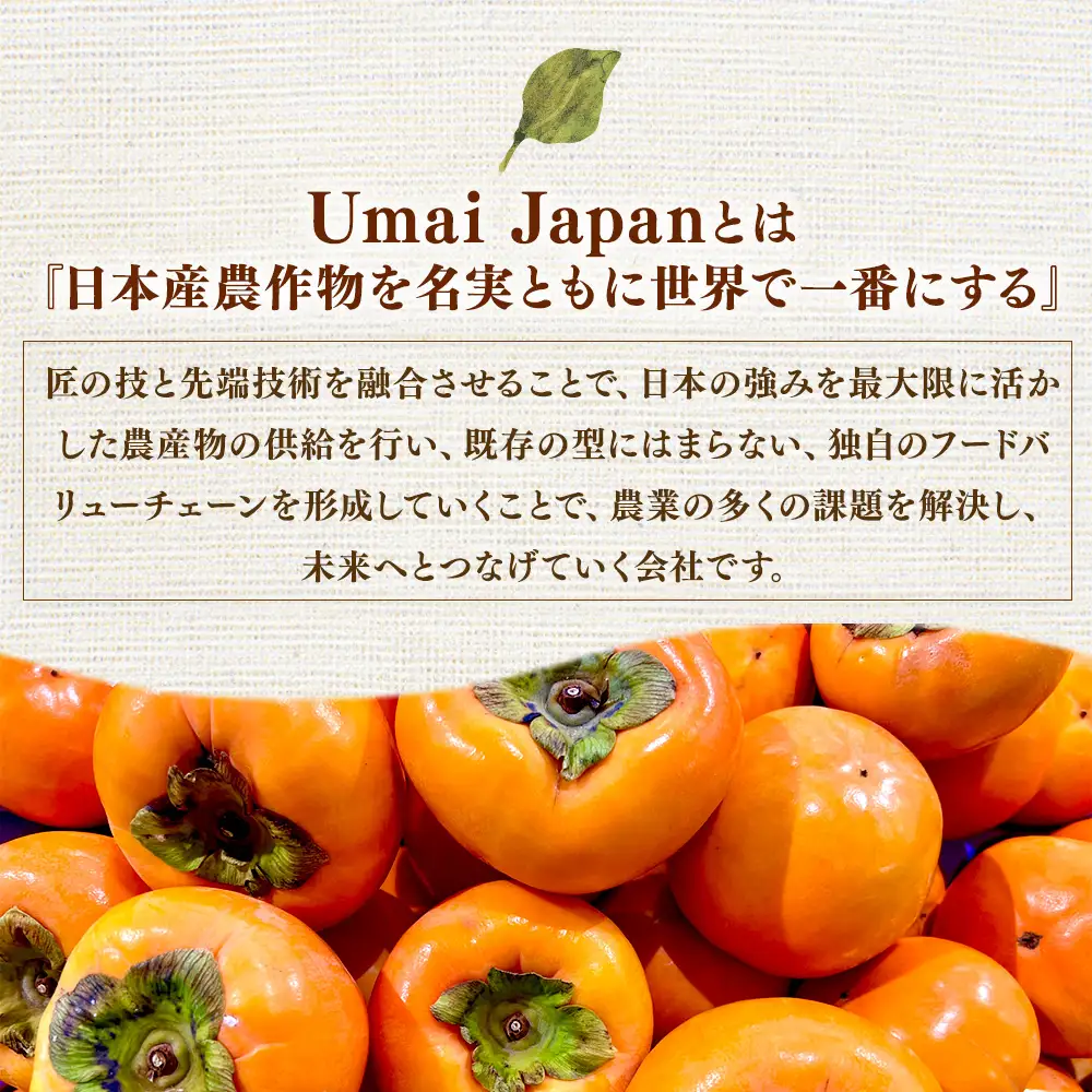 【先行予約】Umai 柿 富有 12玉 3.5kg ※2026年11月中旬～12月中旬頃に順次発送予定
