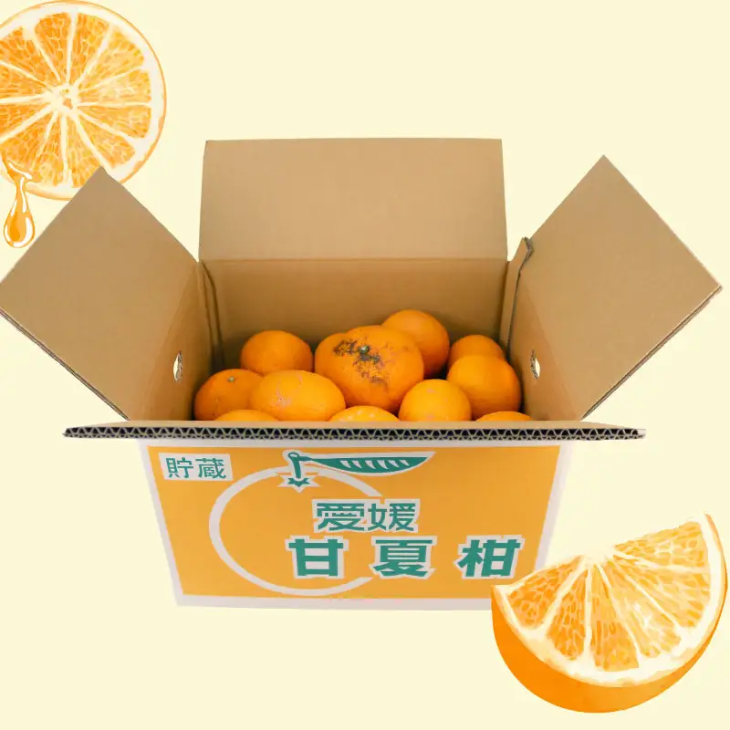 訳あり 甘夏 10kg まる玉農園 甘夏 B010-172005