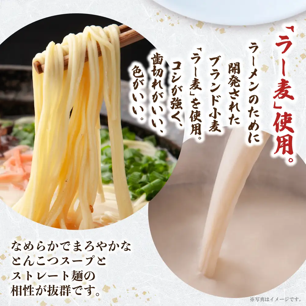 Z08-10 一風堂 とんこつラーメン 白丸 8食 ラーメン