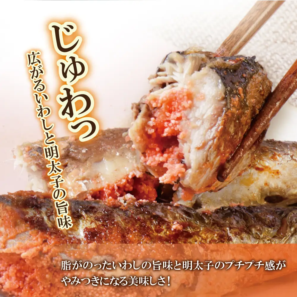 Z08-12 いわし明太 9尾 