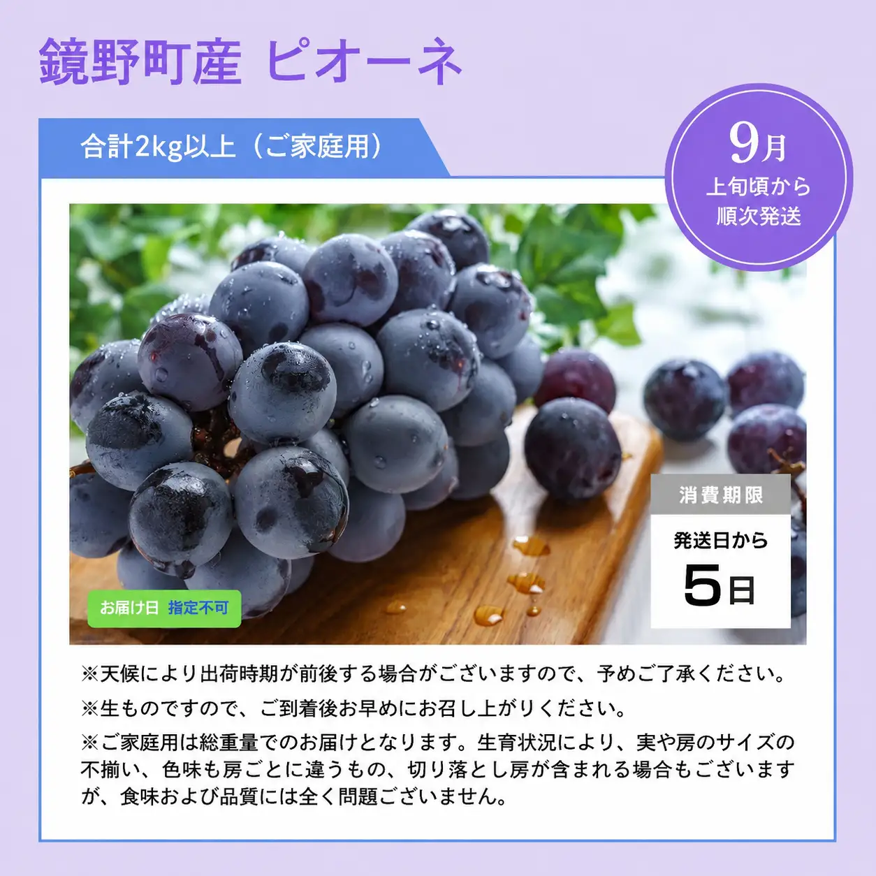 【期間限定】鏡野町産 ピオーネ 2kg（ご家庭用）【004-a029】