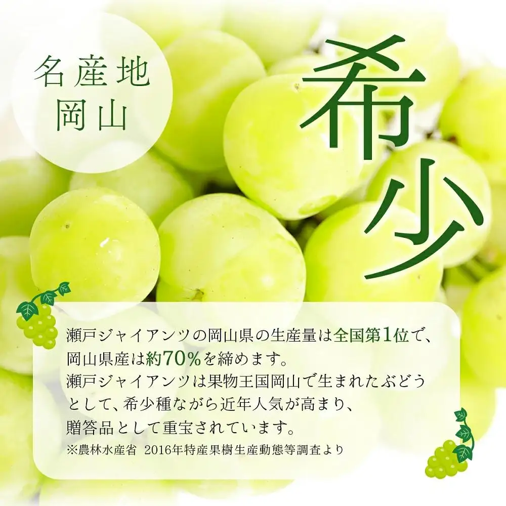 【期間限定】鏡野町産 瀬戸ジャイアンツ 2kg（ご家庭用）【004-a028】