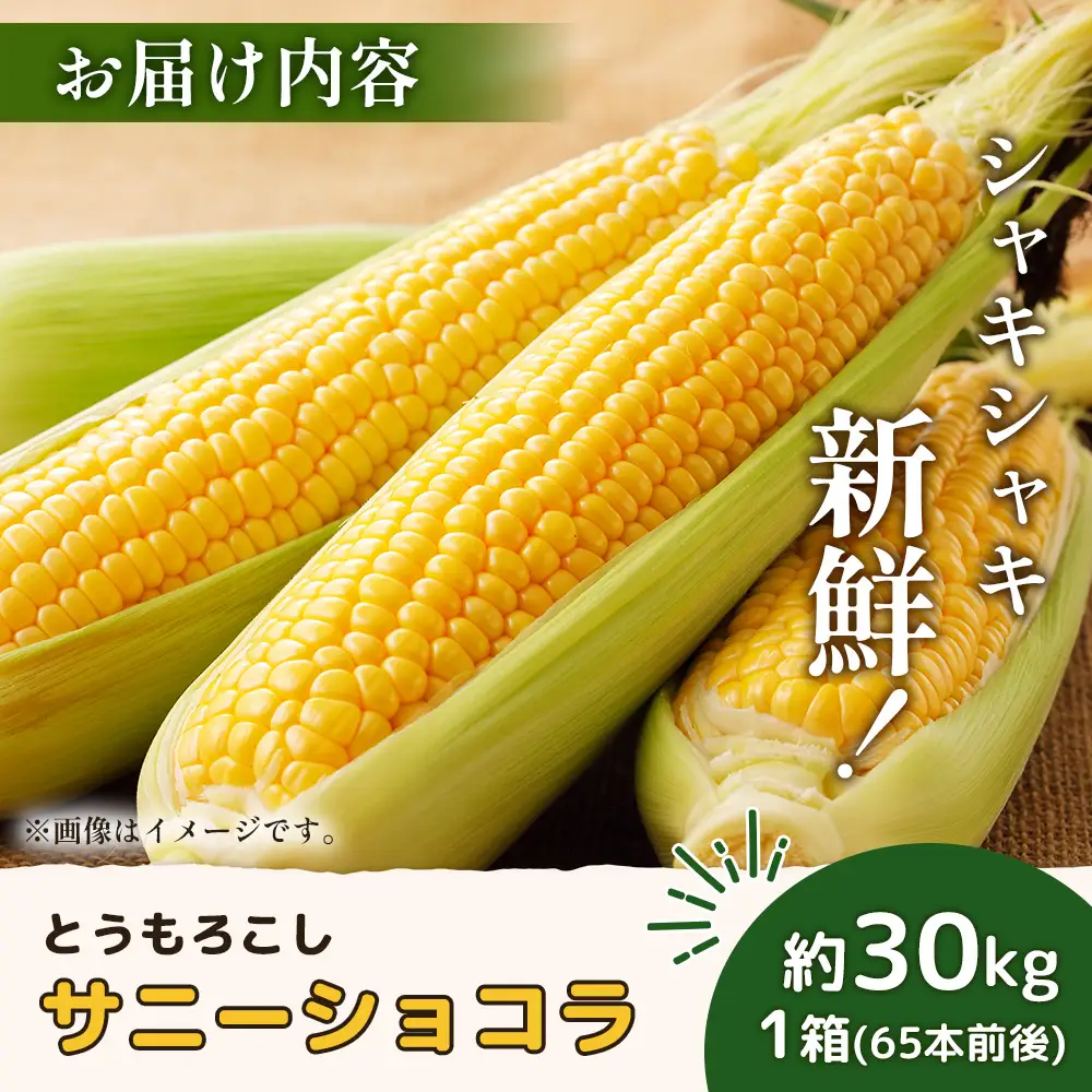 【2026年度発送分】上原農場直送 有機栽培とうもろこし (サニーショコラ) 約30kg 約65本前後【6602101】