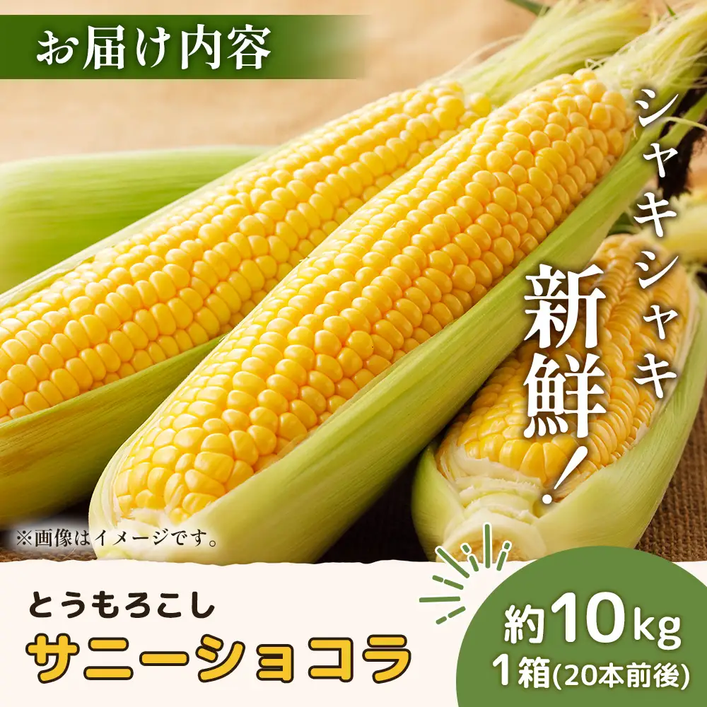 【2026年度発送分】上原農場直送 有機栽培とうもろこし (サニーショコラ) 約10kg 約20本前後【6602001】