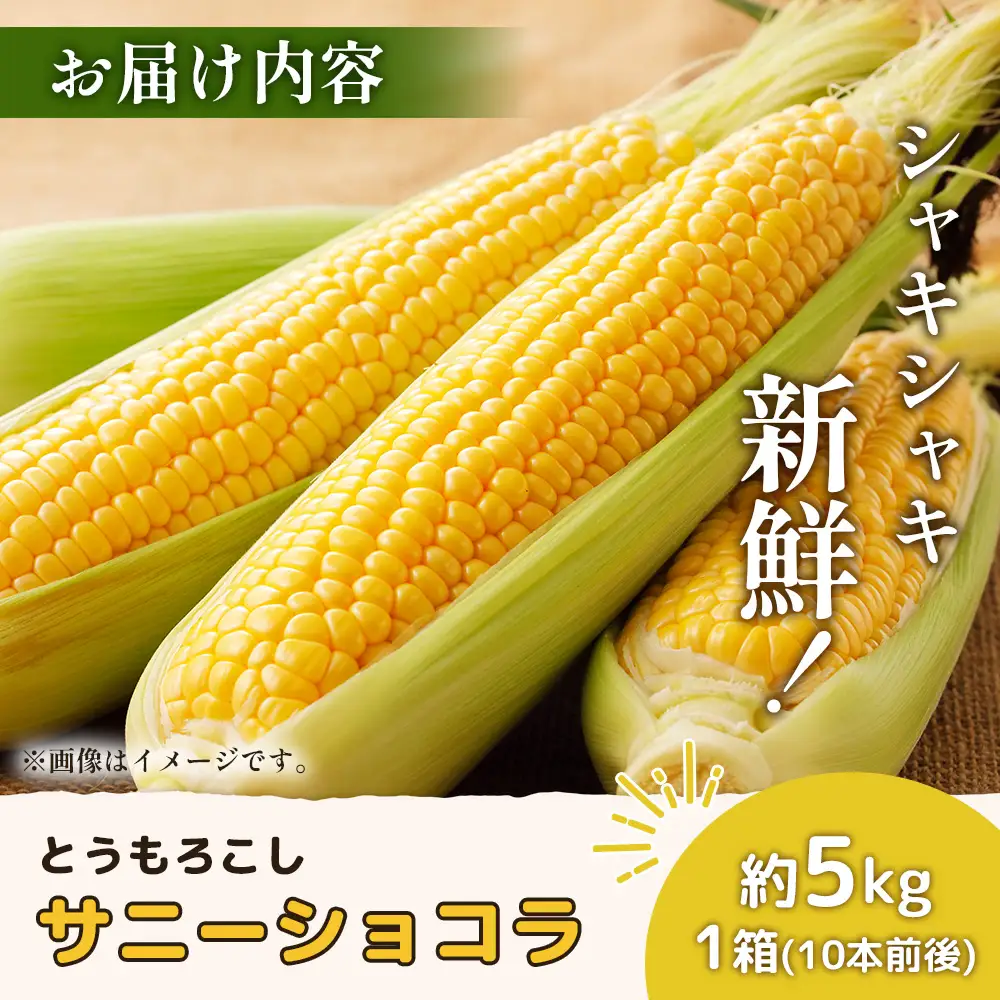 【2026年度発送分】上原農場直送 有機栽培とうもろこし (サニーショコラ) 約5kg 約10本前後【6601901】