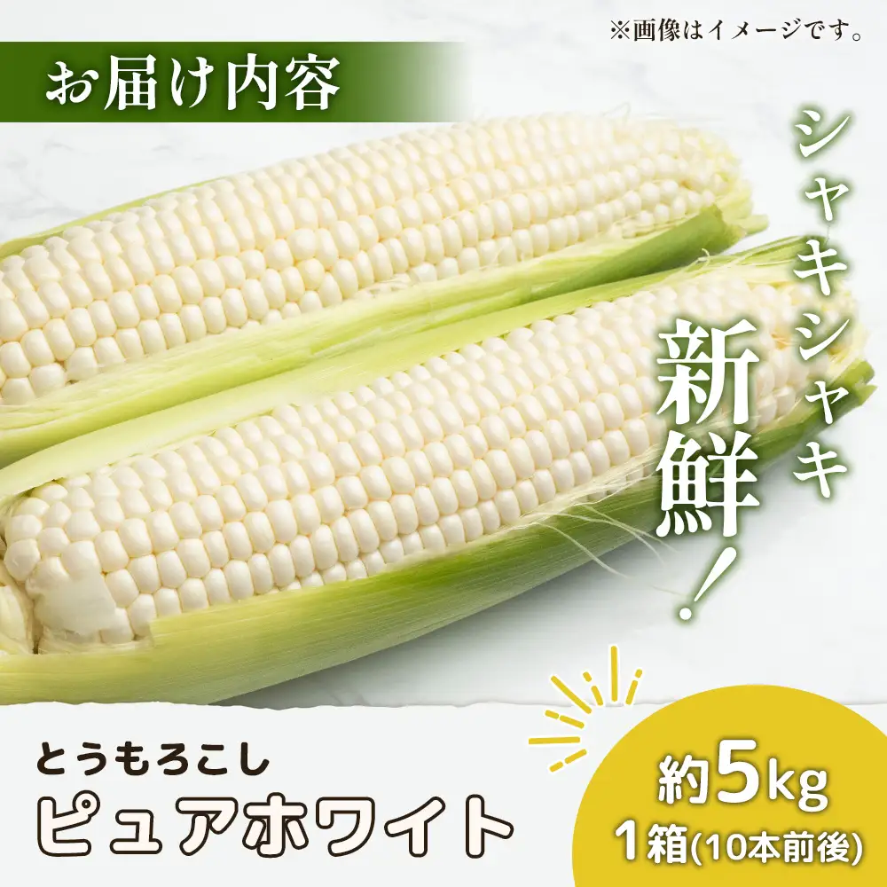 【2026年度発送分】上原農場直送　有機栽培とうもろこし (ピュアホワイト) 約5kg 約10本前後【6601601】